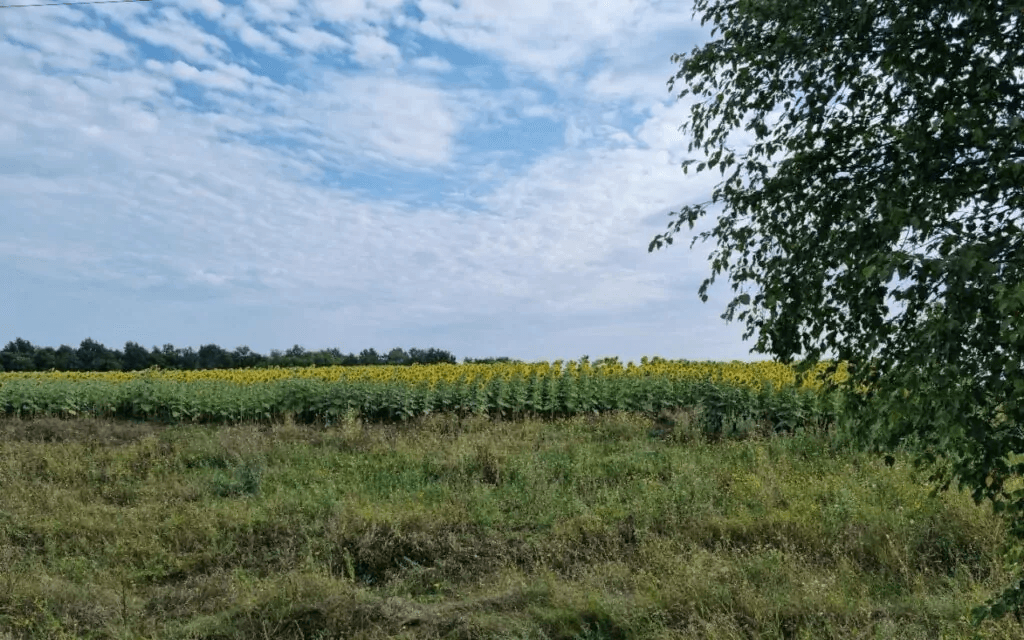 Чернівецьке товариство зобов'язали сплатити громаді на Полтавщині 350 тисяч гривень боргу
