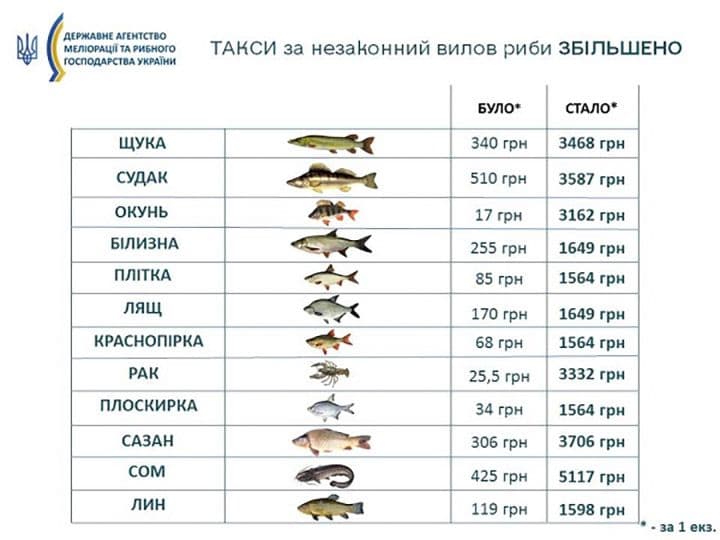 Кабмін в рази збільшив штрафи за незаконний вилов риби