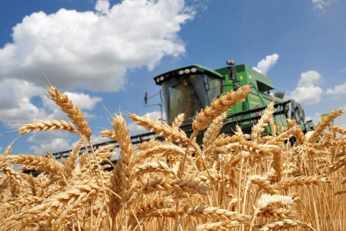 На Полтавщині зібрали 60% ранніх зернових культур