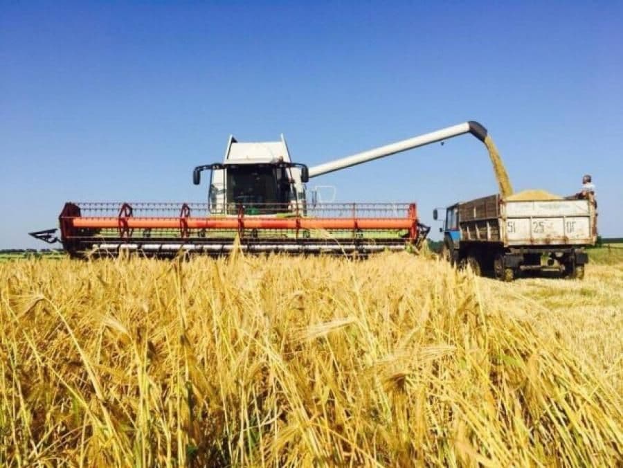 На Полтавщині завершився збір ранніх зернових