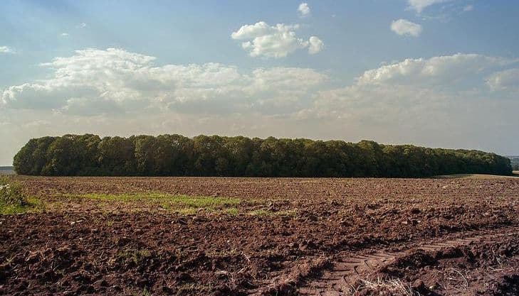 Великобудищанській громаді повернуть землі вартістю майже 72 мільйони гривень