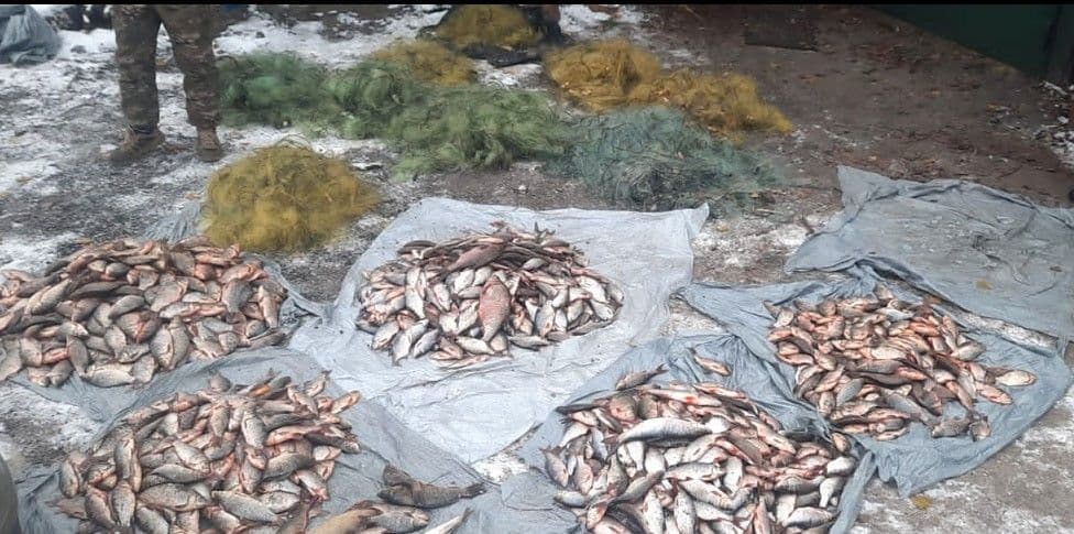 На Полтавщині браконьєр наловив риби на майже два млн грн