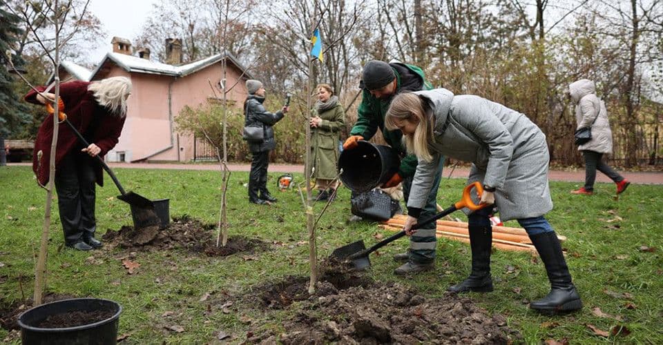 У лісах Полтавщини заборонили висадку 13 видів дерев