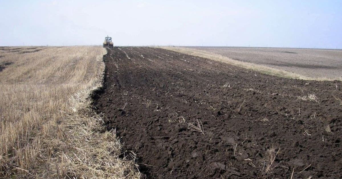 На Полтавщині ймовірно забиратимуть землю без рішення суду — кого стосуватиметься