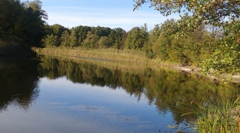 У річці Сула виявили тіло чоловіка