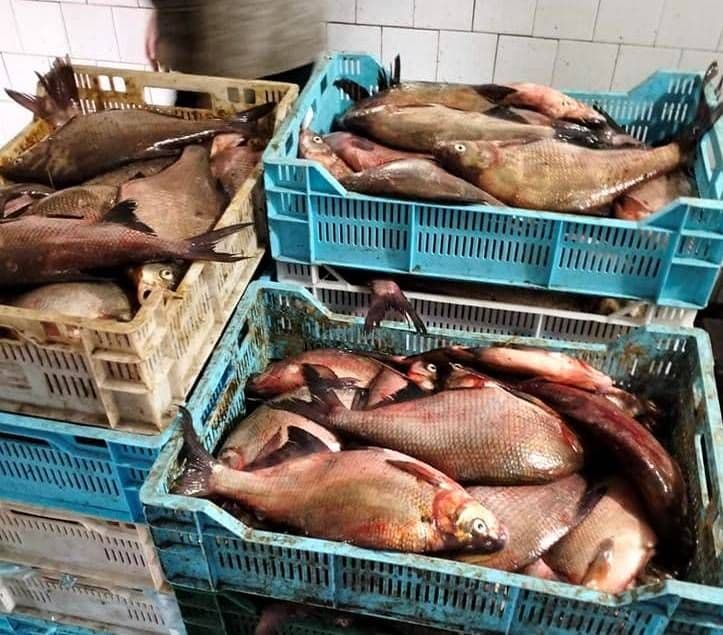 На Полтавщині зупинили мікроавтобус заповнений рибою без документів