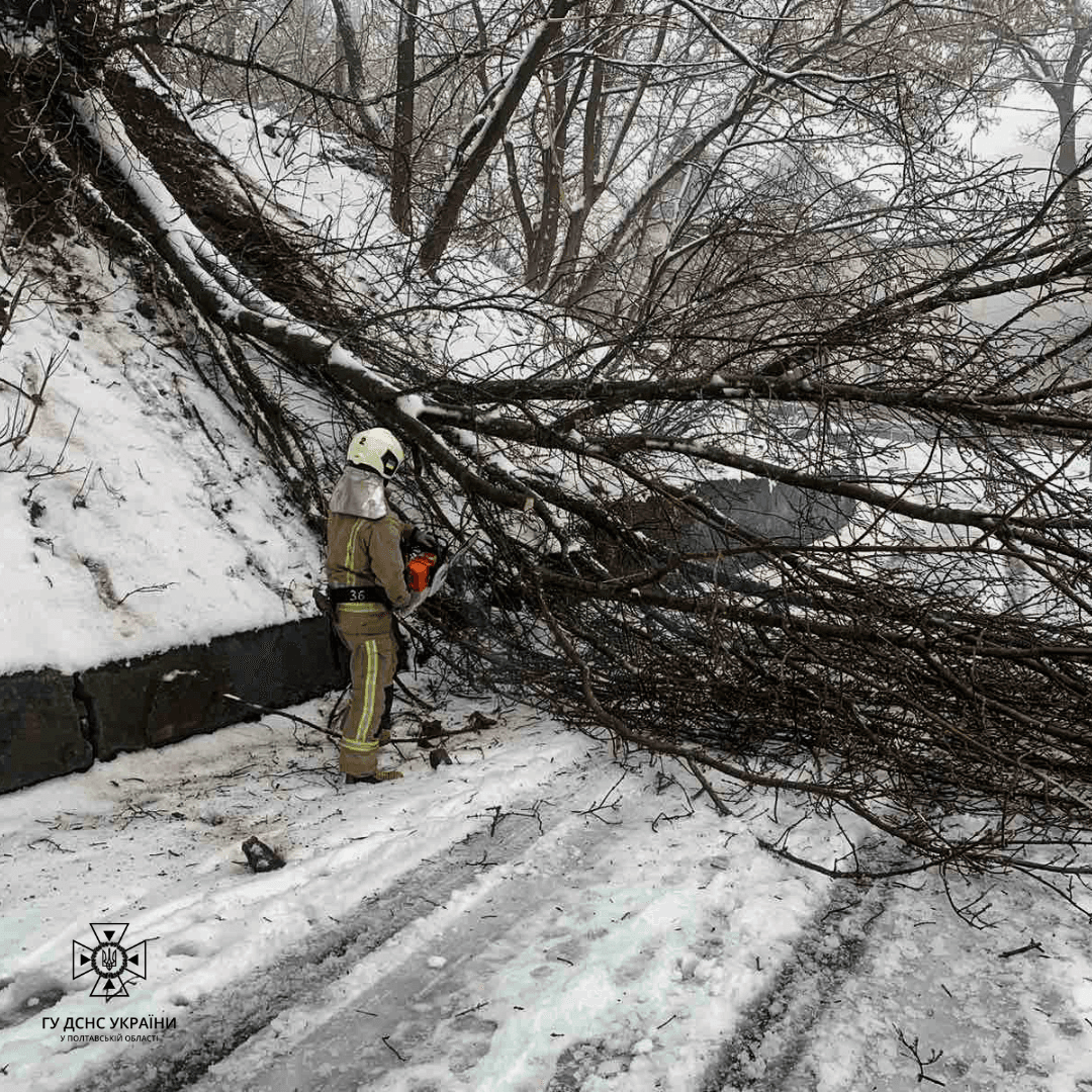 У Полтаві надзвичайники прибирали повалені дерева з доріг