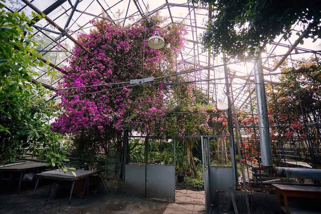 У Полтаві вперше влаштують BOTANIC ART