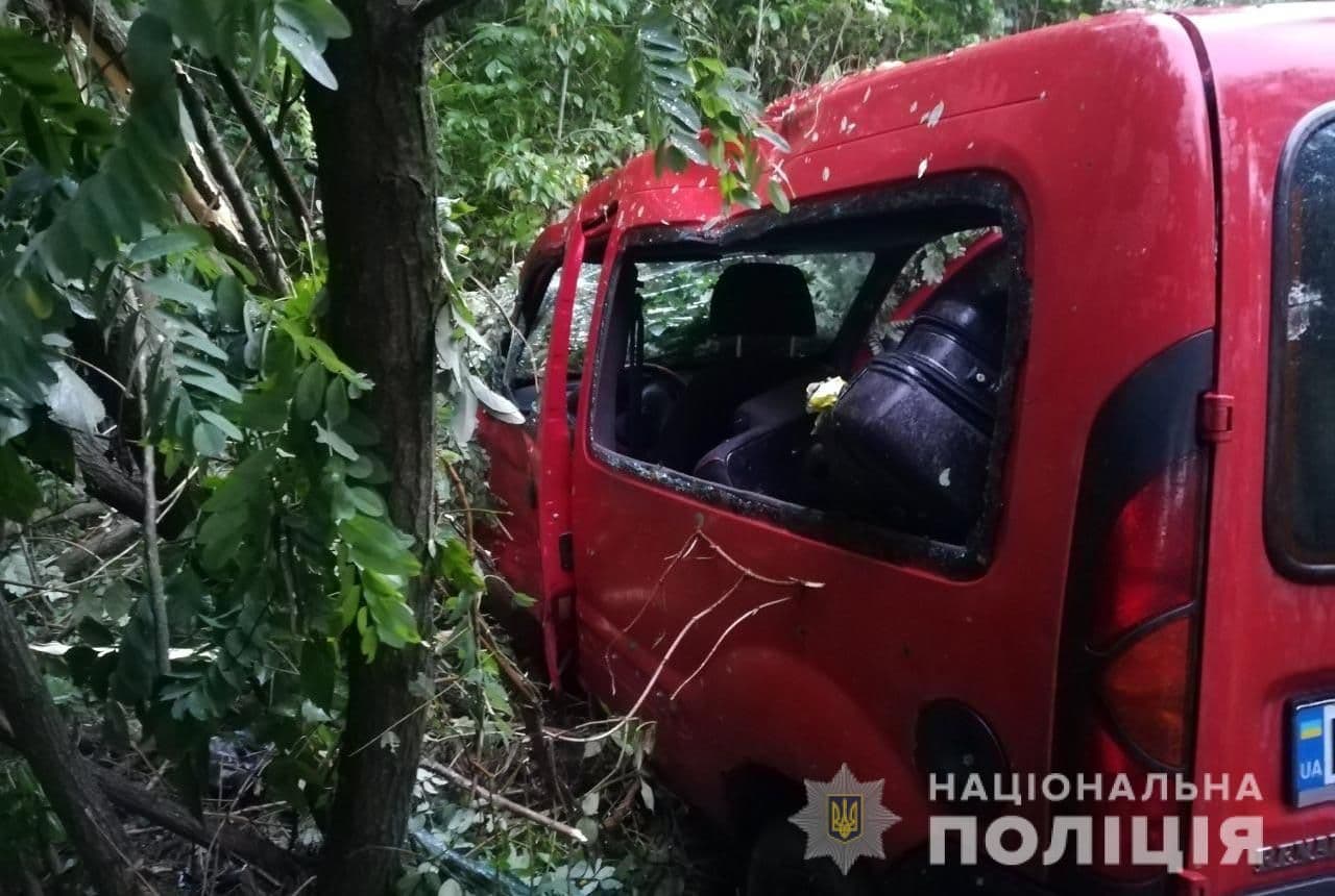 На Лохвиччині мікроавтобус злетів з дороги і перекинувся: водій в лікарні