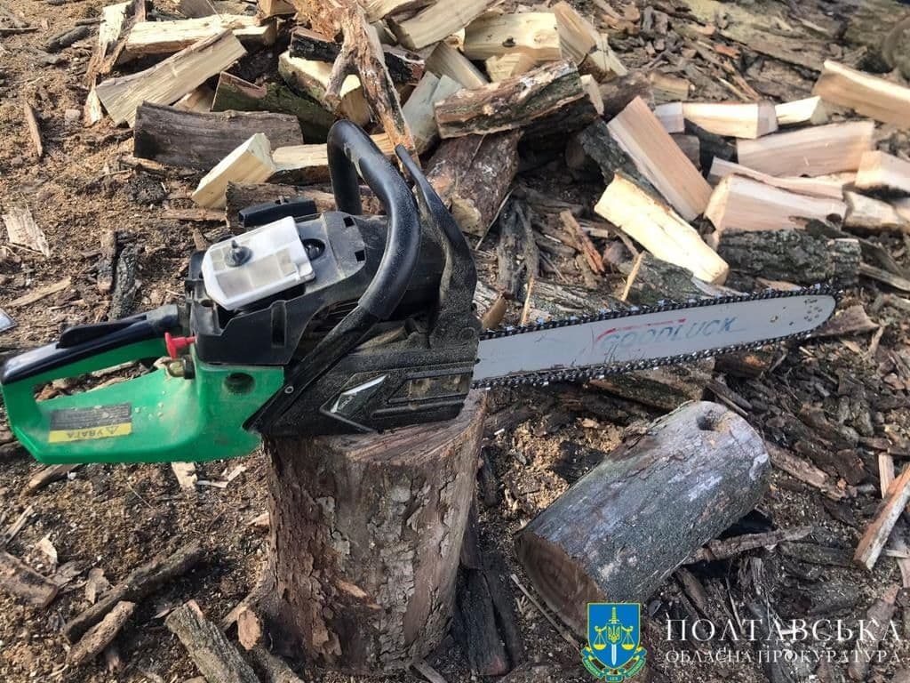 На Полтавщині чоловік змушував неповнолітнього красти дрова — напиляли на 770 000