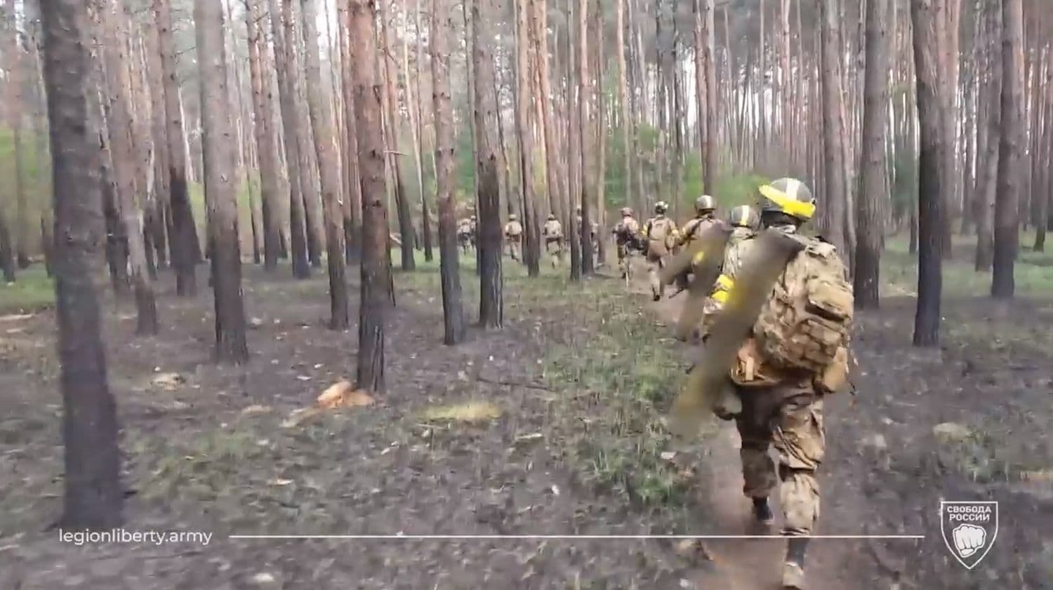 Легіон «Свобода росії» показав перетин кордону та зачистку Бєлгородщини (відео)