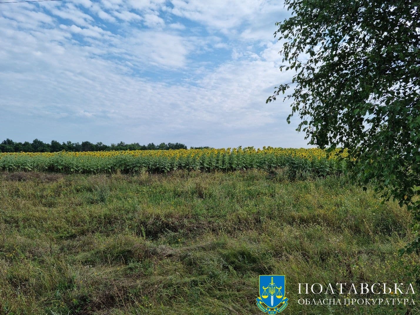 Полтавській громаді повернуть землі для облаштування кладовища