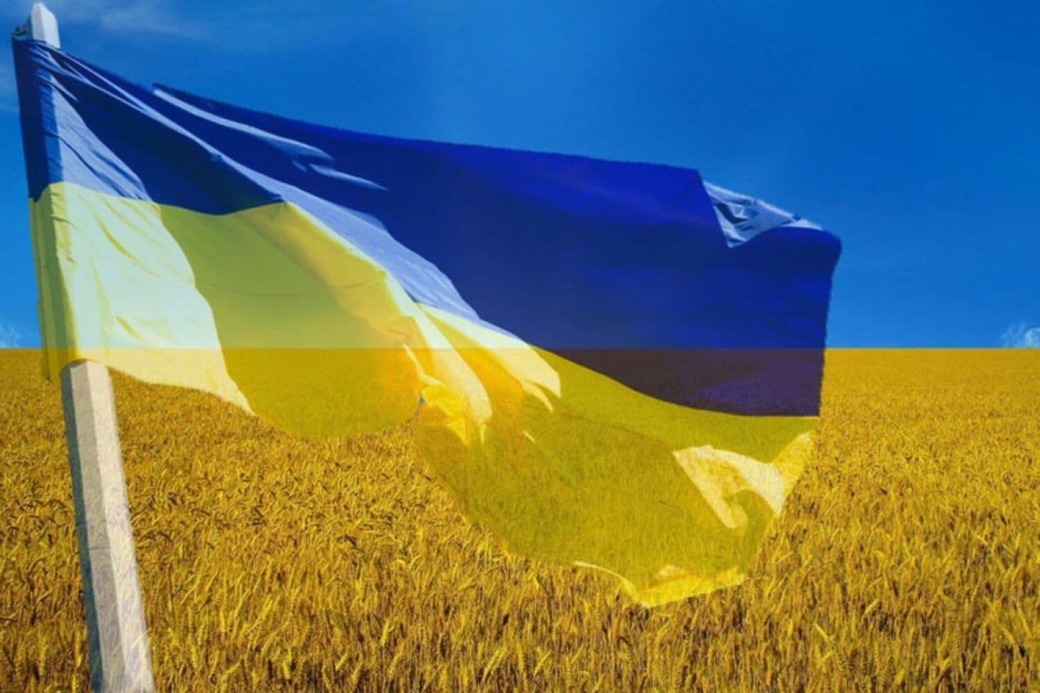 Полтавцям пропонують приєднатися до всеукраїнського флешмобу до Дня Незалежності