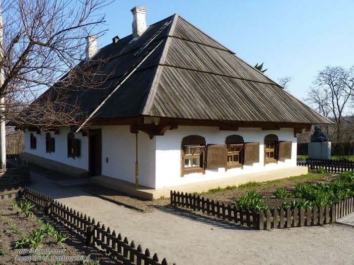 Музейники влаштовують акцію з приводу Дня медичного працівника