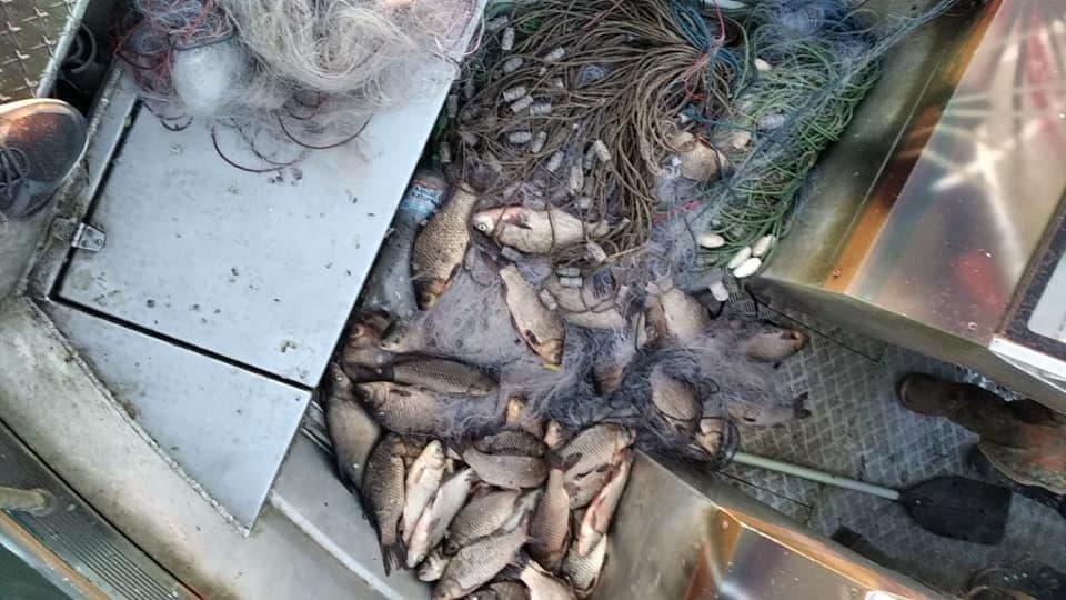 Рибоохоронний патруль виявив 50 кг риби в сітках: її віддали військовим