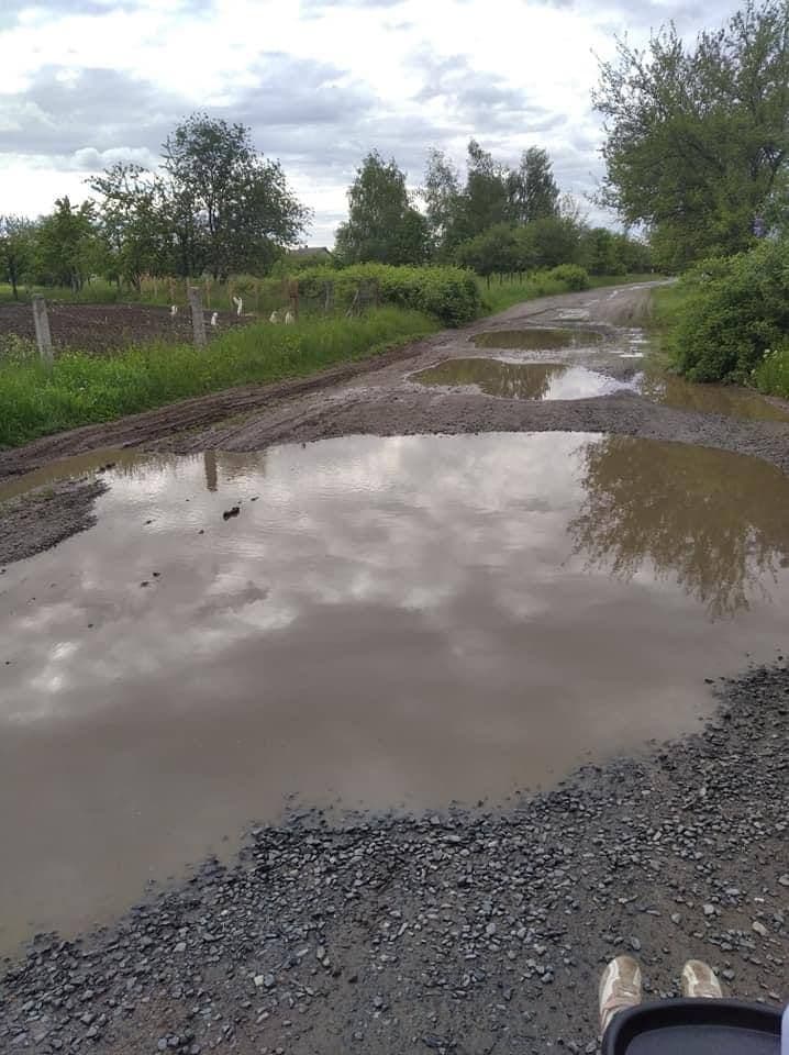 У Рибцях дитина ледь не загинула в калюжі