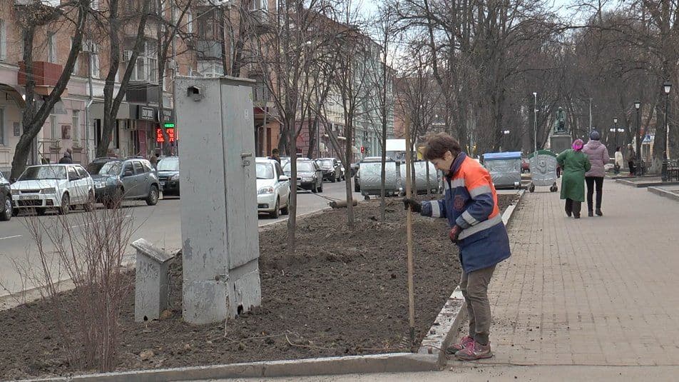 У Полтаві висаджують дерева - де і скільки