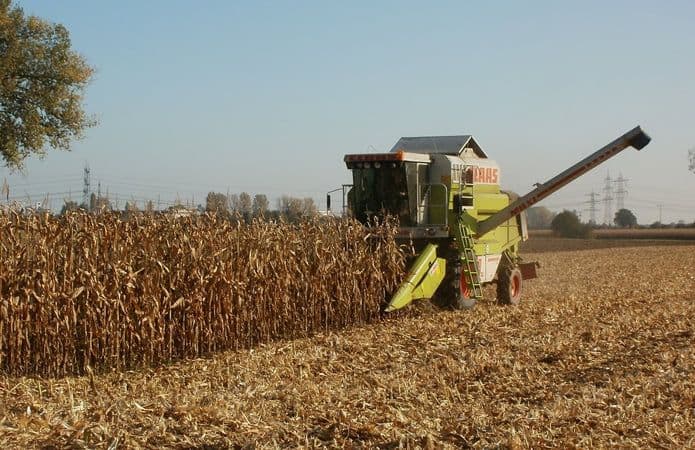 Полтавські аграрії намолотили понад 5 мільйонів тонн зернових та зернобобових культур