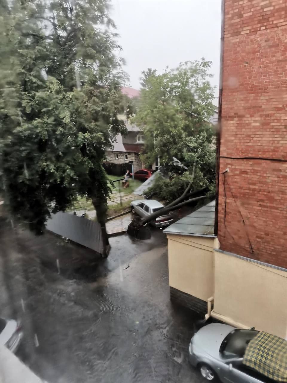 Полтавою «пройшлася» негода: повалені дерева, побиті машини