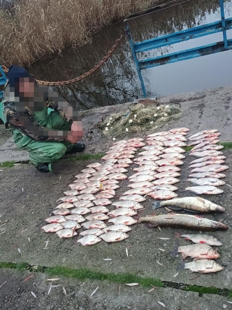 На Полтавщині виявили браконьєра, який наловив риби на пів мільйона