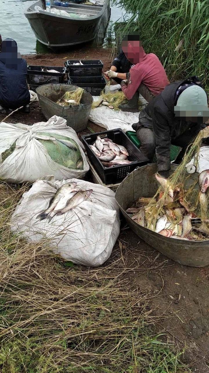 На Полтавщині у вересні незаконно виловили риби на понад 2,7 млн грн