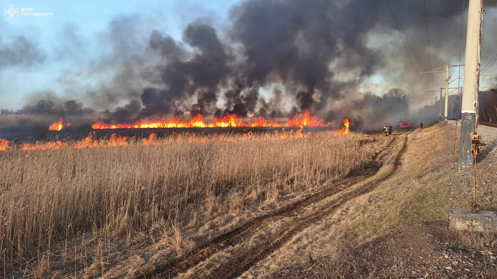 Паління сухостою: на Полтавщині рятувальники масово гасять пожежі