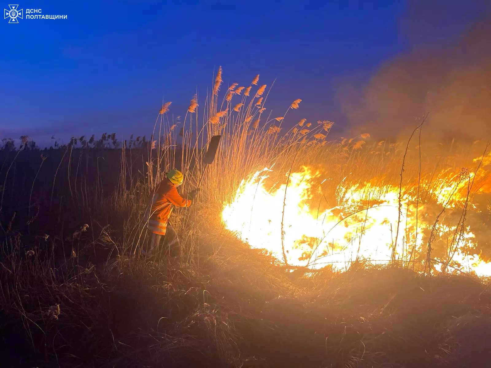 На Полтавщині вирують пожежі: у лісах посилили патрулювання