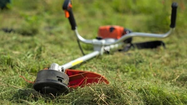 Понад 15 мільйонів гривень можуть витратити на покіс трави в Полтаві