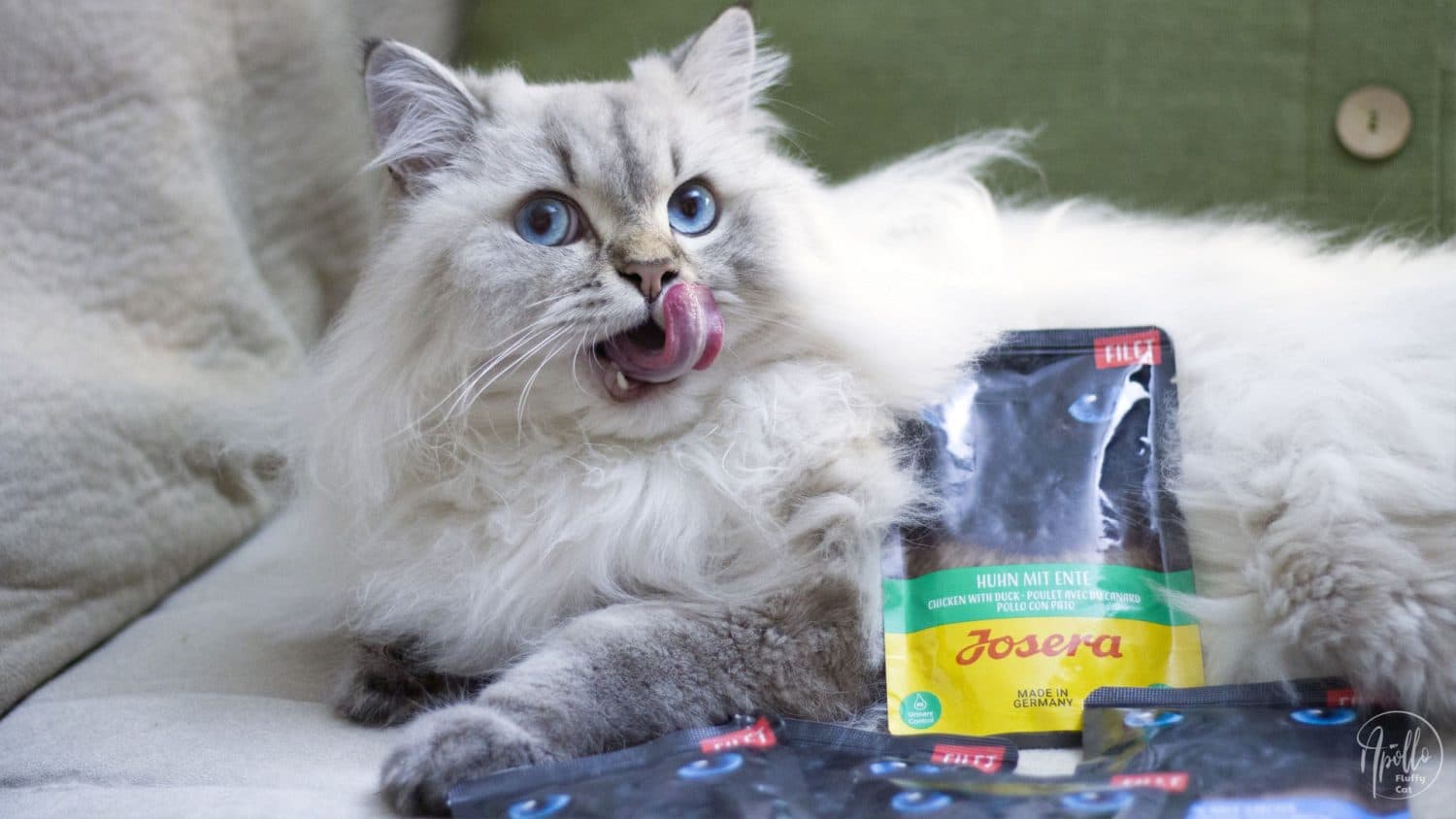 Josera для котів із чутливим шлунком, алергією та іншими особливостями