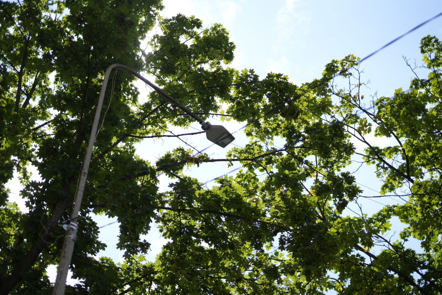 У Полтаві необхідно замінити 19 тисяч ліхтарів