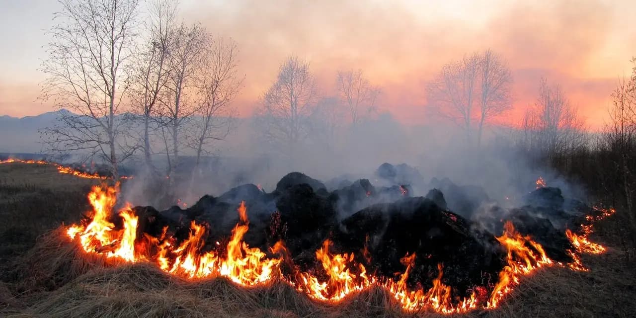 До 24 квітня на Полтавщині триватиме надзвичайний рівень пожежної небезпеки