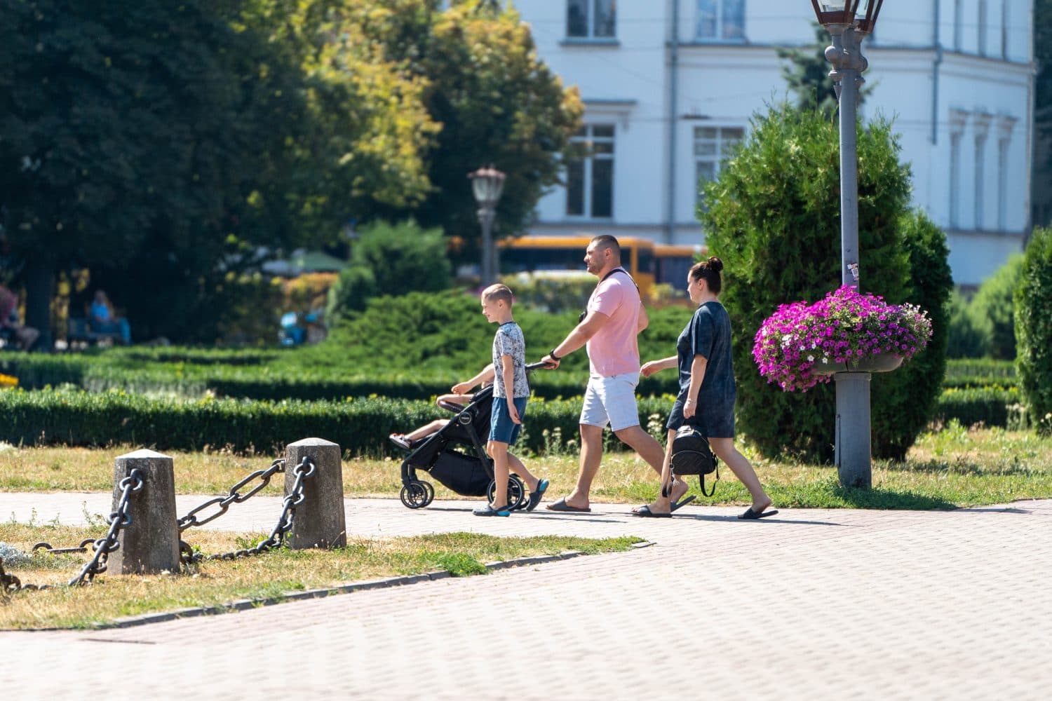 У Полтаві оброблять дерева від шкідників: що варто знати полтавцям