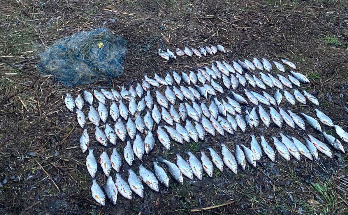 Понад мільйон збитків державі завдали рибалки-порушники Полтавщини