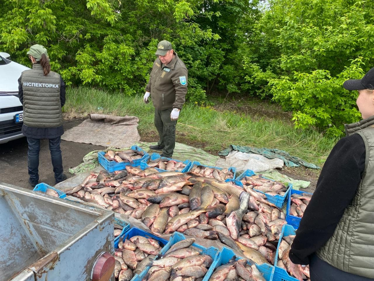 Мільйонні збитки: на Полтавщині затримали браконьєрів із «тіньовим уловом»