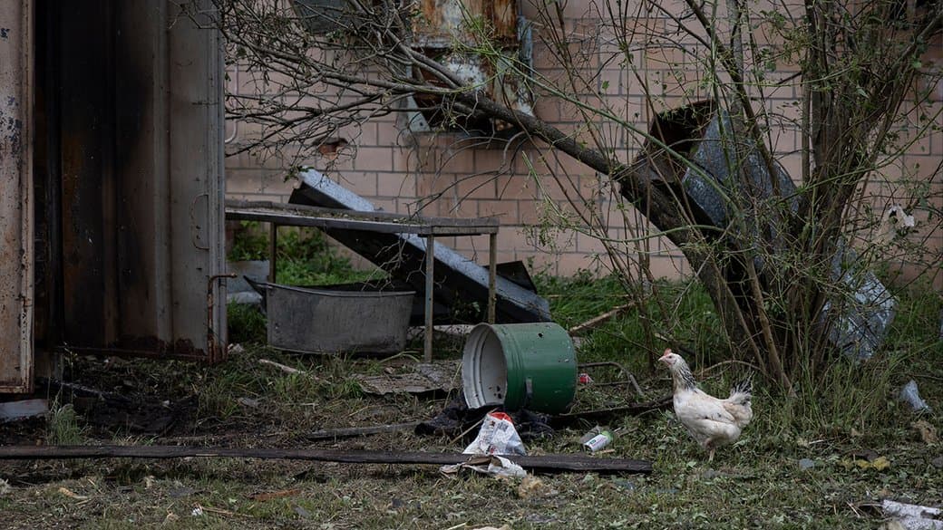 Обстріл Чернігова: російська ракета влучила в завод «Поліські курчата»