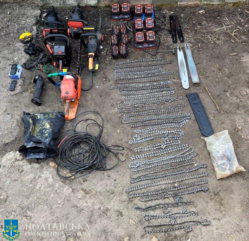 Спиляли дерев на мільйон: на Полтавщині судитимуть «чорних лісорубів»