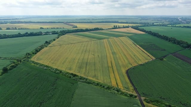 На Полтавщині товариство не сплатило селищній раді понад 2,3 мільйони оренди
