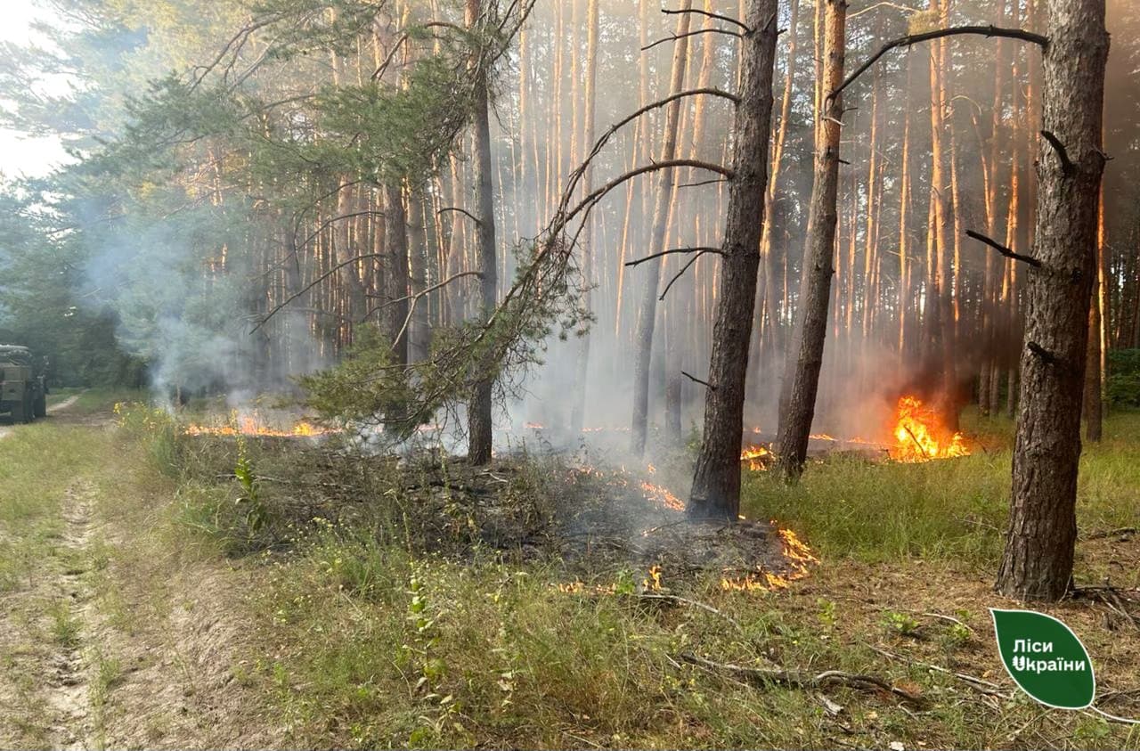 Загасили сьому пожежу: на Полтавщині знову палав ліс через дрон