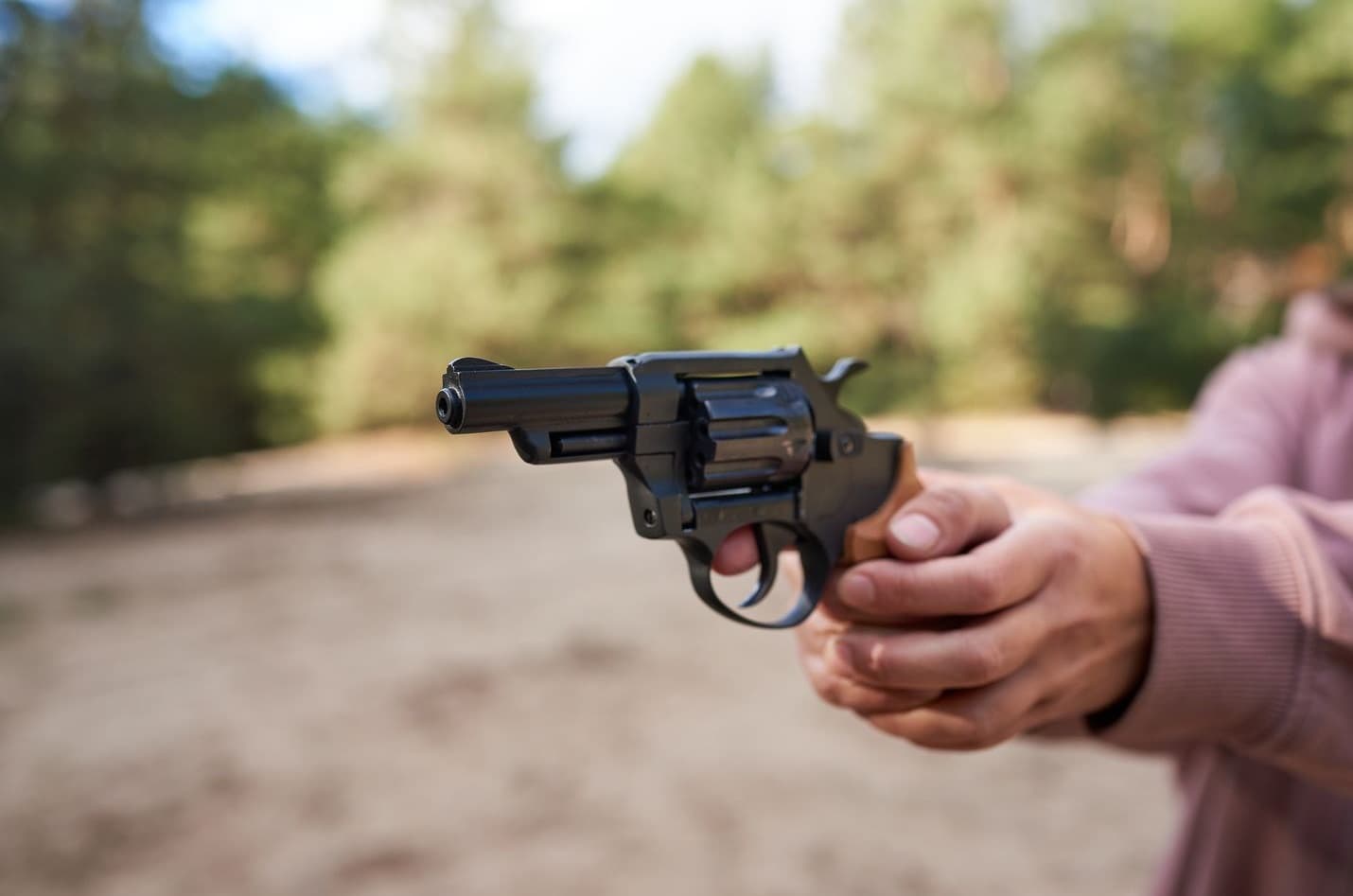 На Полтавщині судили жінку, яка стріляла у собаку з револьвера