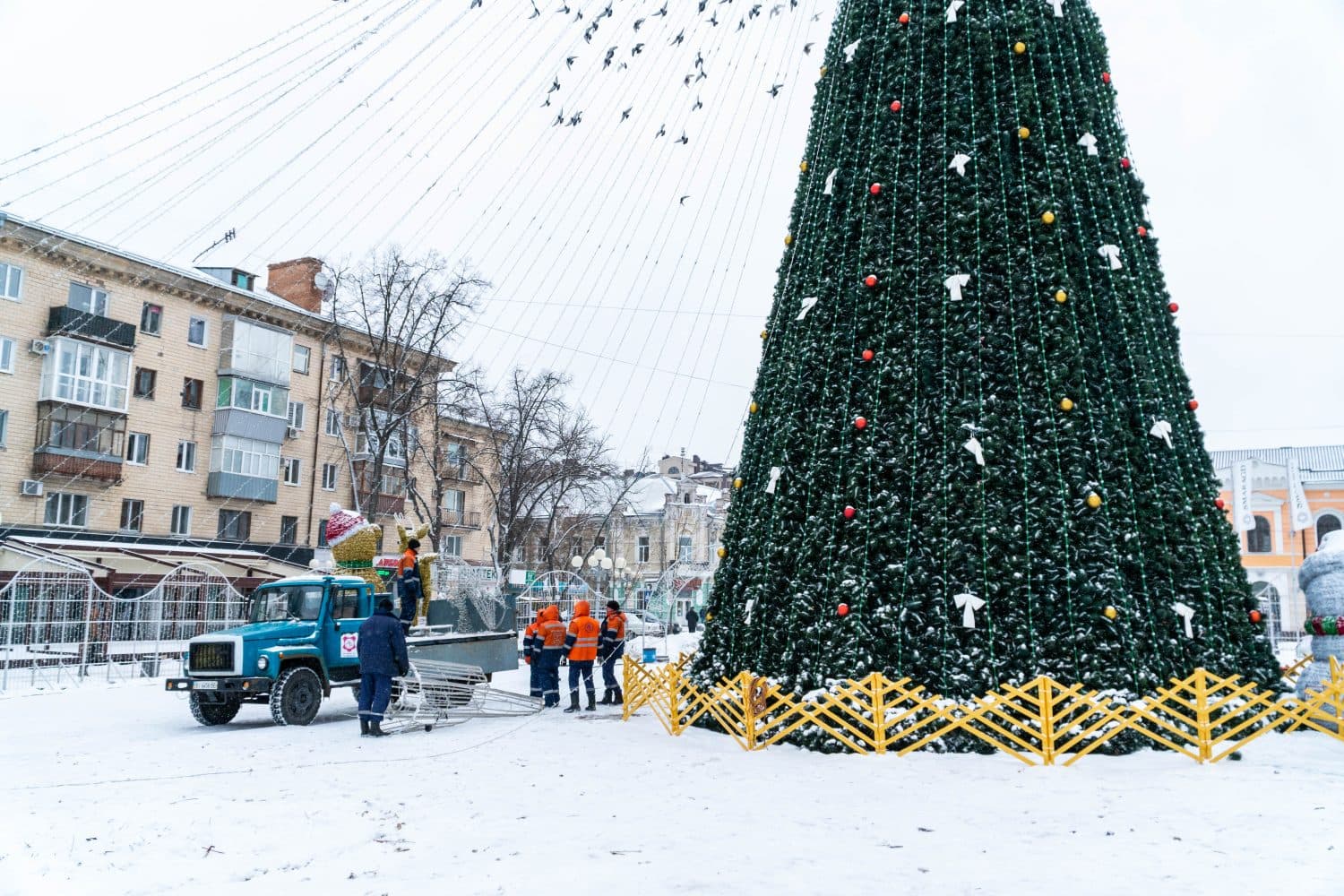 Свято на пів мільйона: у Полтаві планують встановити новорічну ялинку