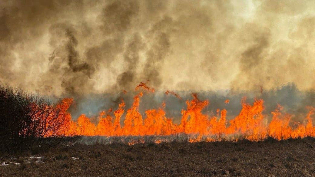 Жителів Полтавщини попереджають про надзвичайний рівень пожежної небезпеки