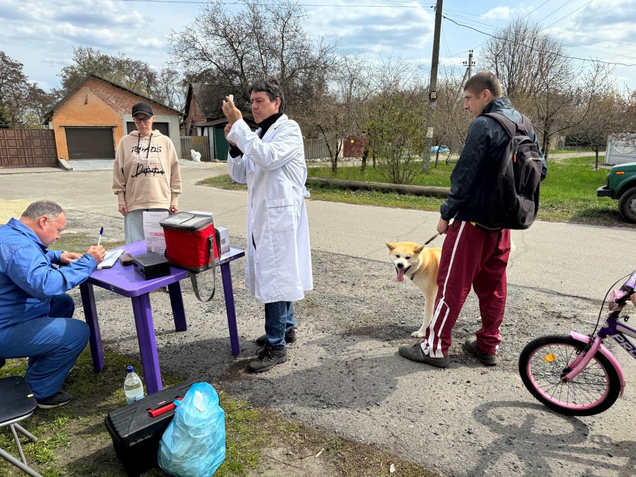 10 та 11 вересня у Полтаві безкоштовно щеплять тварин від сказу