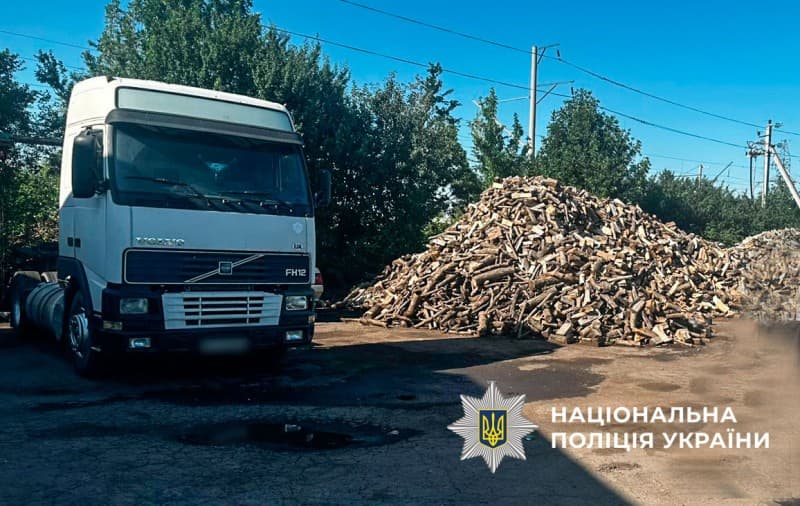 За вирубку дерев на понад чотири мільйони гривень судитимуть лісорубів з Полтавщини