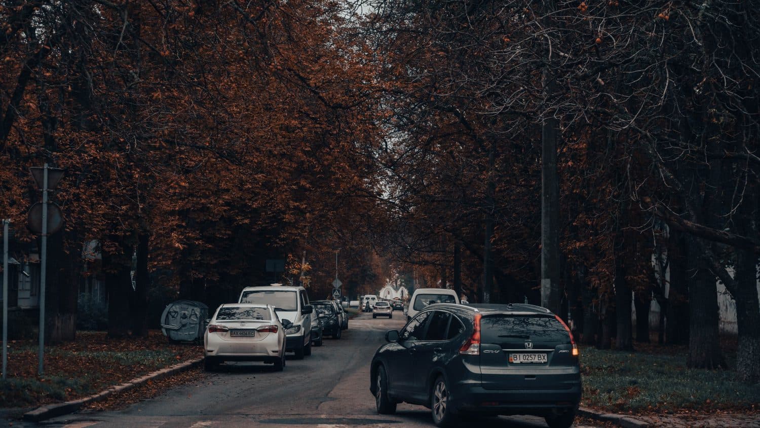 Погода на вихідні у Полтаві: дощ і похолодання