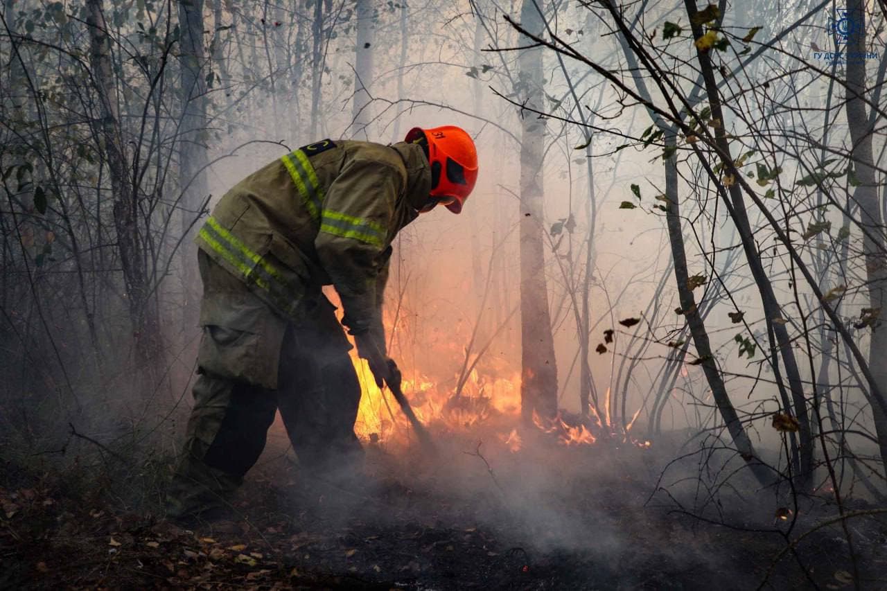У лісах Полтавщини цьогоріч сталося 59 пожеж