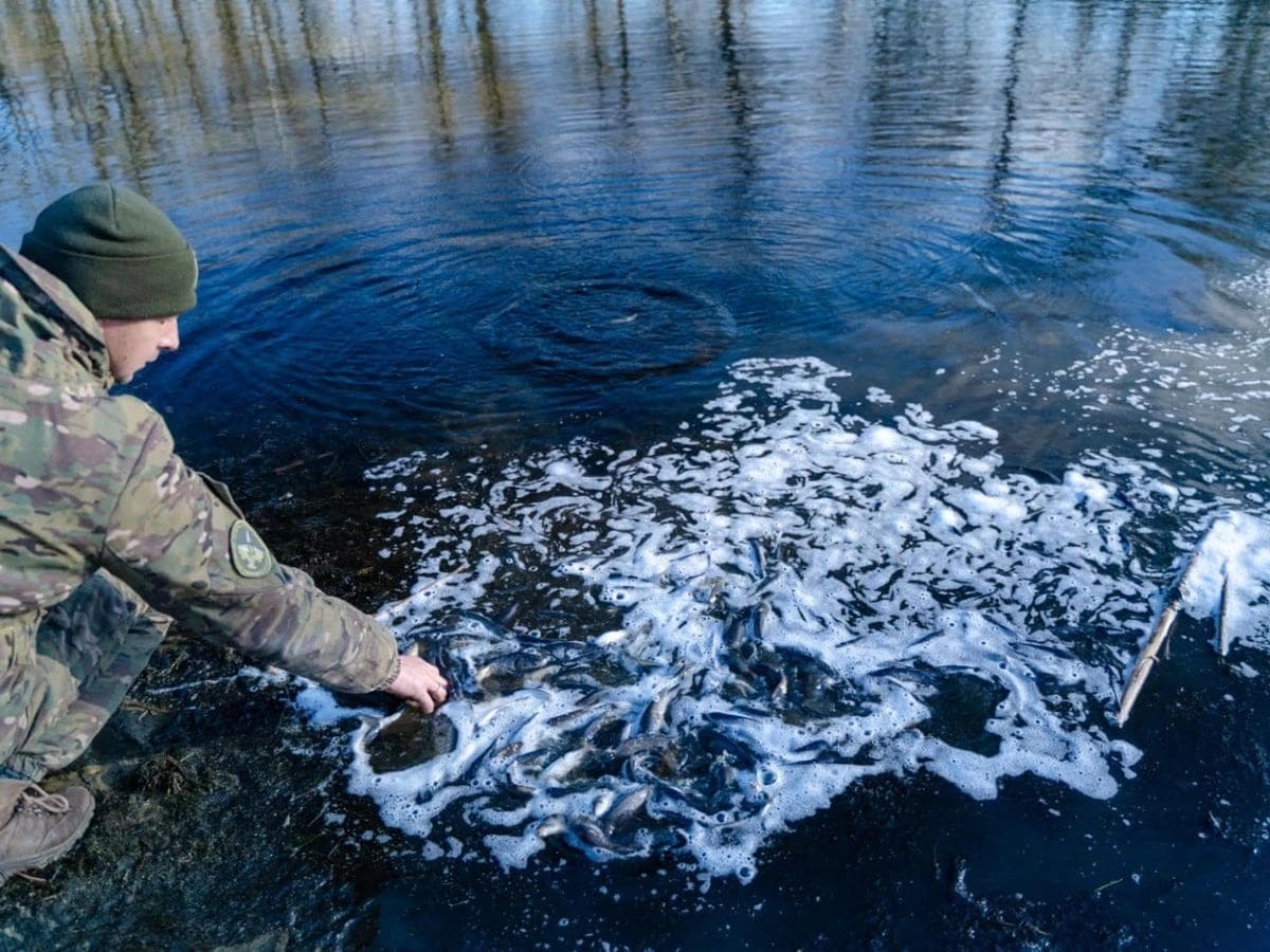 З бюджету Полтавщини виділили 100 тисяч гривень на зариблення Ворскли