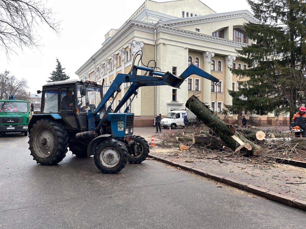 Понад 1500 аварійних дерев спиляли у Полтаві з початку року