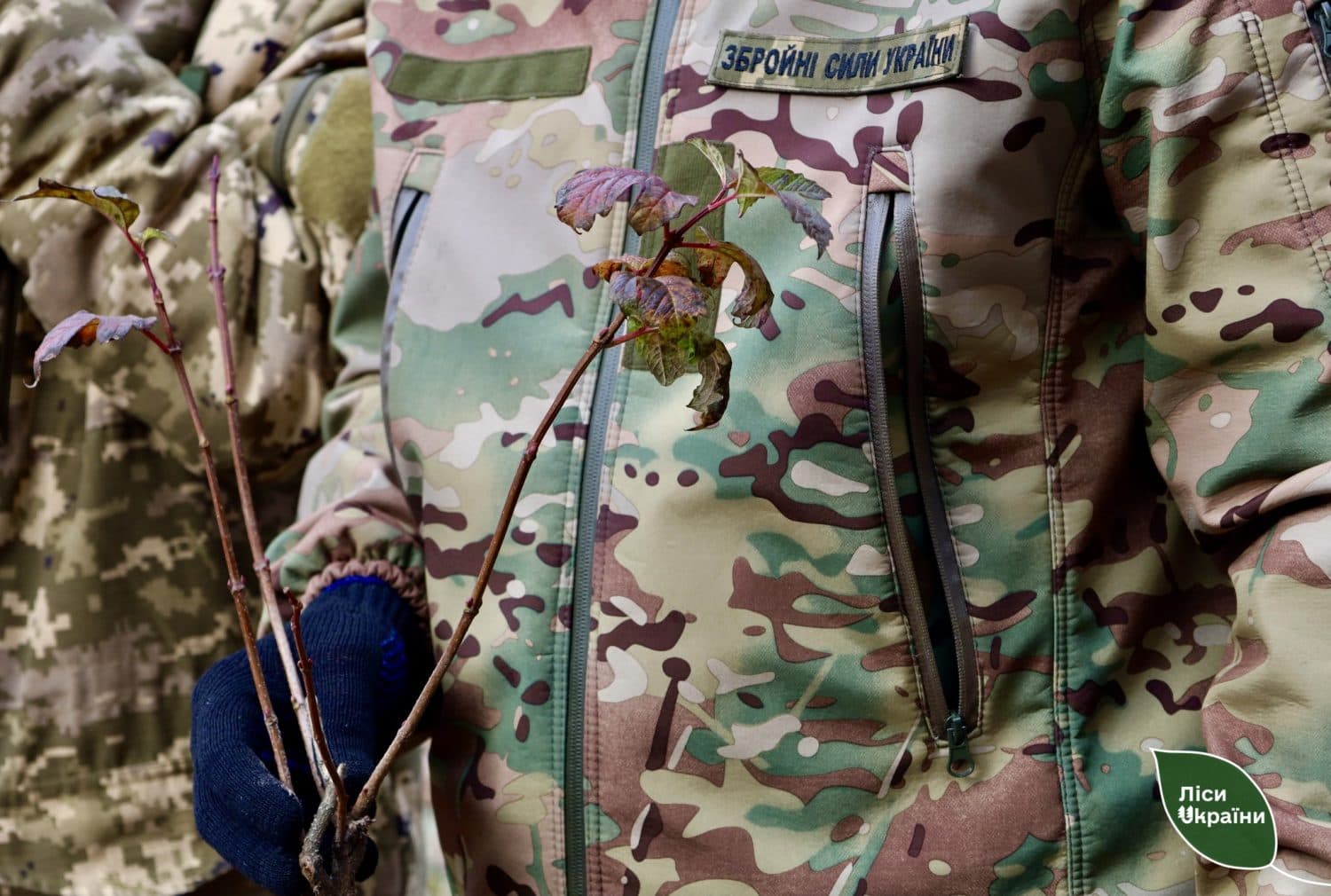 «Ліс пам’яті»: на Полтавщині висадили дерева на честь загиблих воїнів