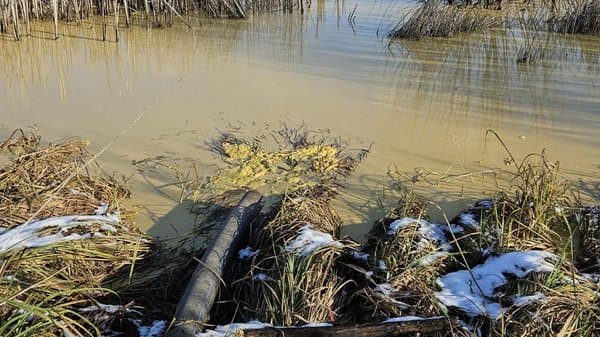 Суд оштрафував жителя Полтавщини за злив відходів у ліс