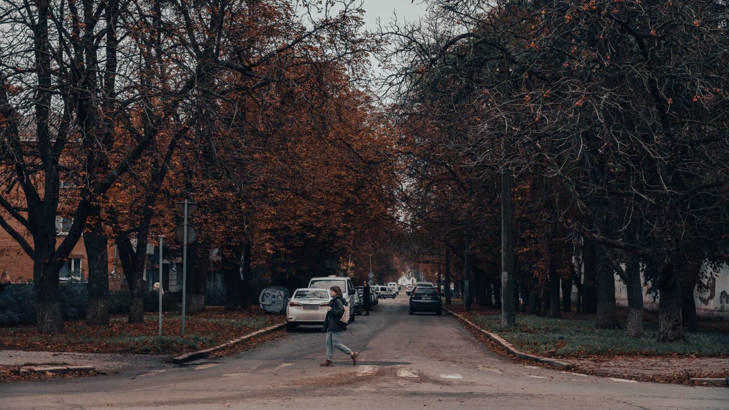 Хмарність та легке потепління: погода на Полтавщині 6 та 7 грудня